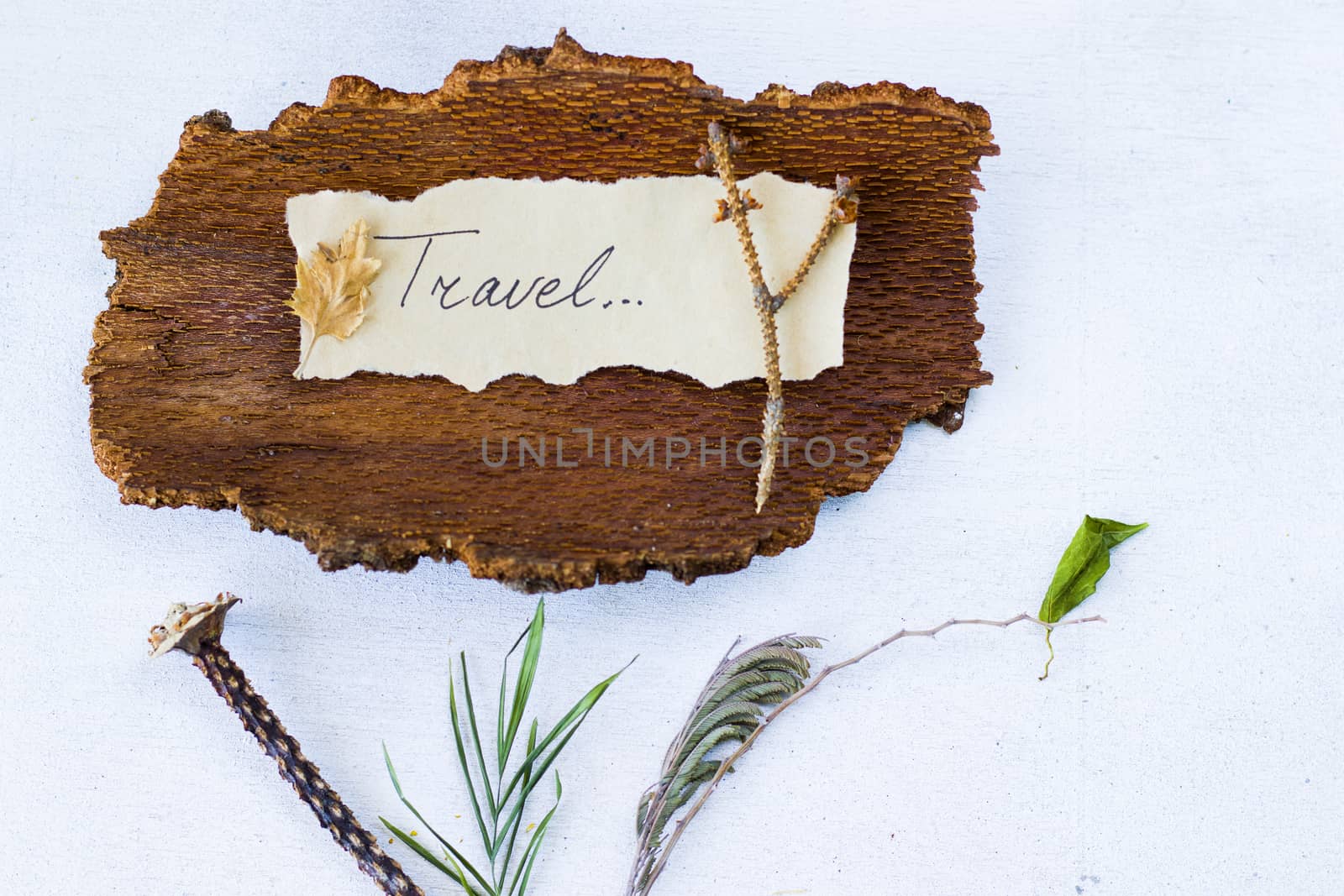 Autumn vibes travel memories, dried plants and flowers, copy paste space, letter and words by Taidundua