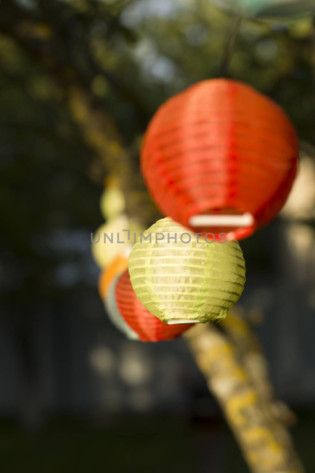 Lantern in the yard on the tree bokeh background, night and warm light, hanging lanterns, natural light, evening time.