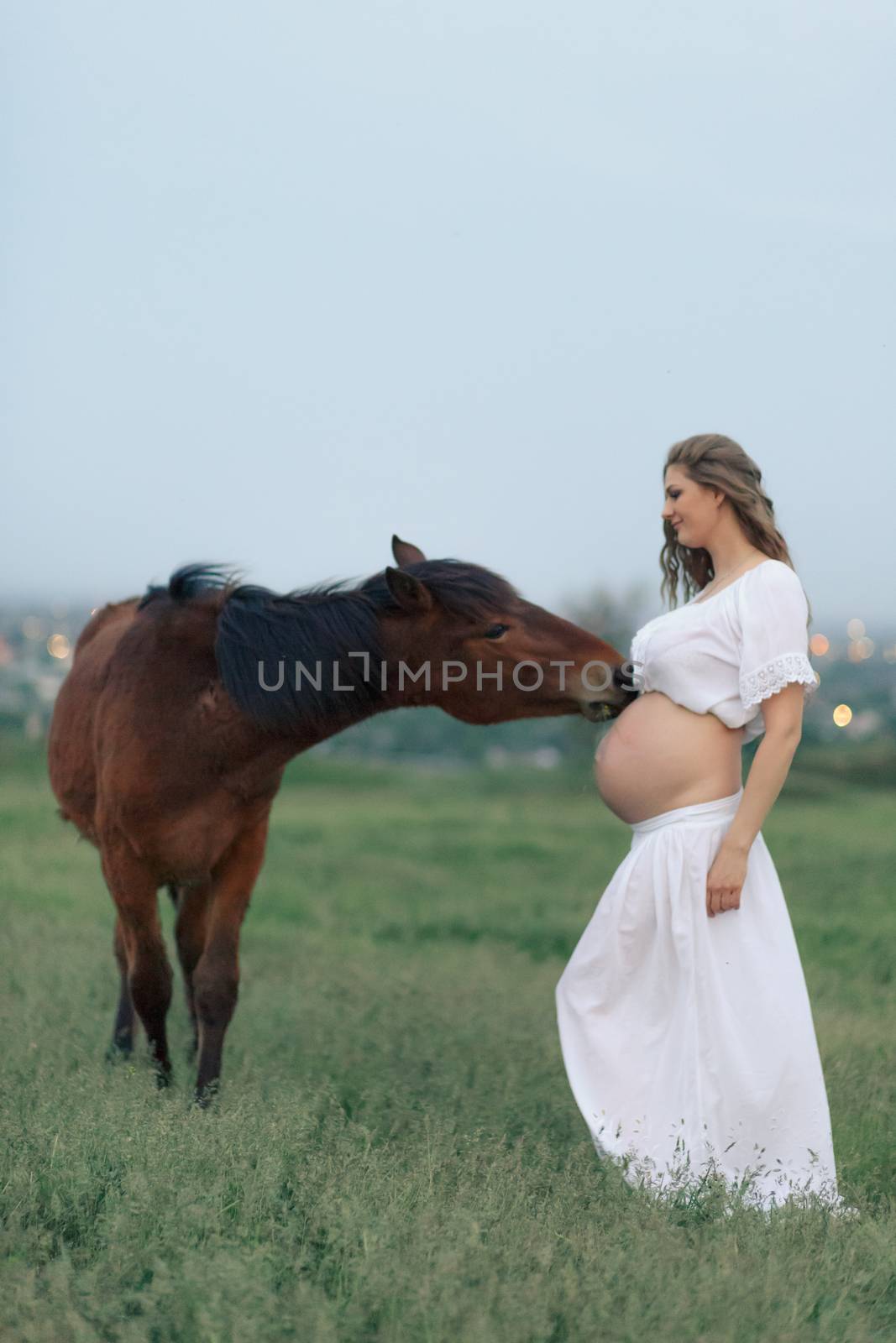 A pregnant girl in white communicates with a horse on a green meadow. Therapy and relaxation for pregnant women.