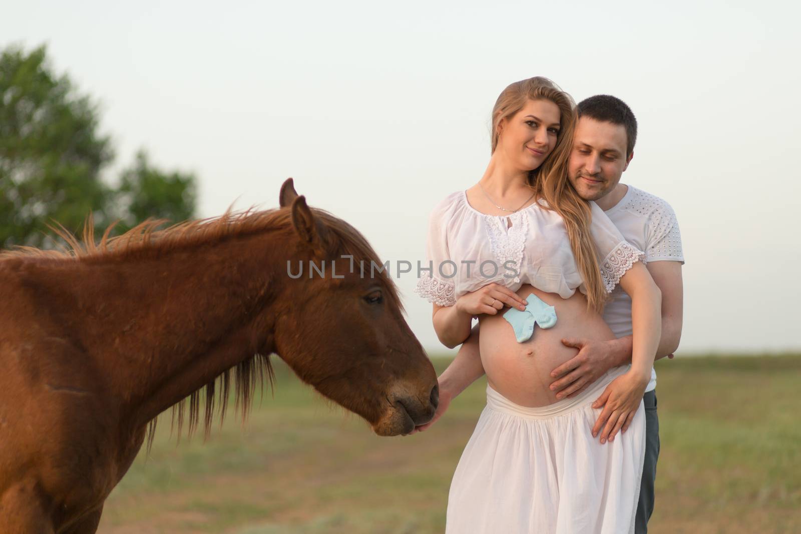 A farmer with his pregnant wife at sunset on his farm. Posing with a horse.