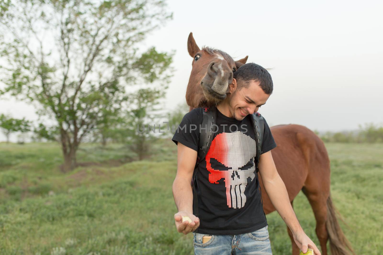 Guy with a horse in a green field. Communication with animals.
