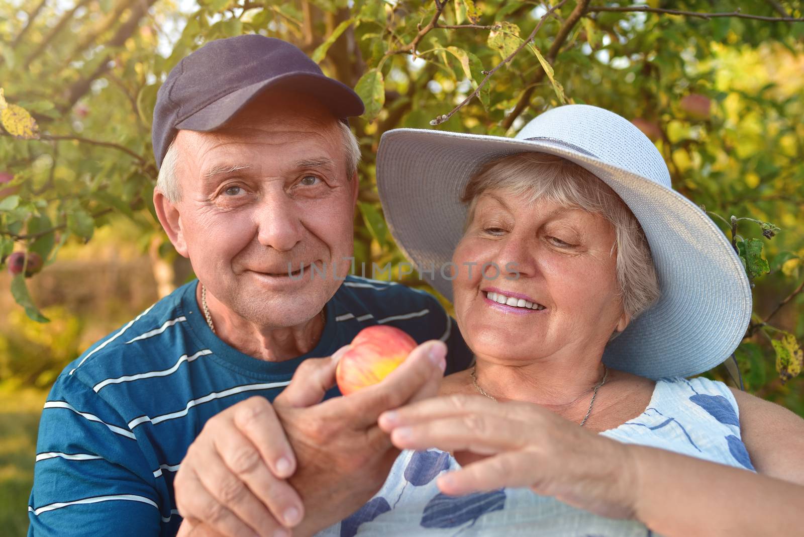 Old People smiling and picking apples. Happy old couple. From seeds to fruits. by Nickstock