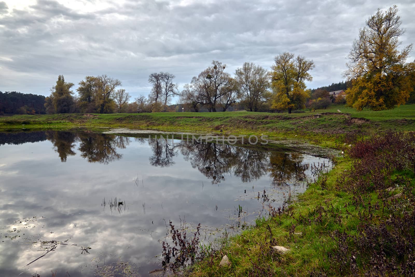 Meadows and deciduous trees on the Warta River during autumn in Poland