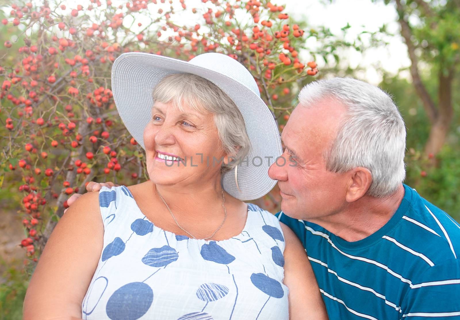 Authentic outdoor shot of aging couple having fun in the garden and blessed with love. During their game man is trying to kiss his wife and she is laughing out loud. Love and family concept. by Nickstock