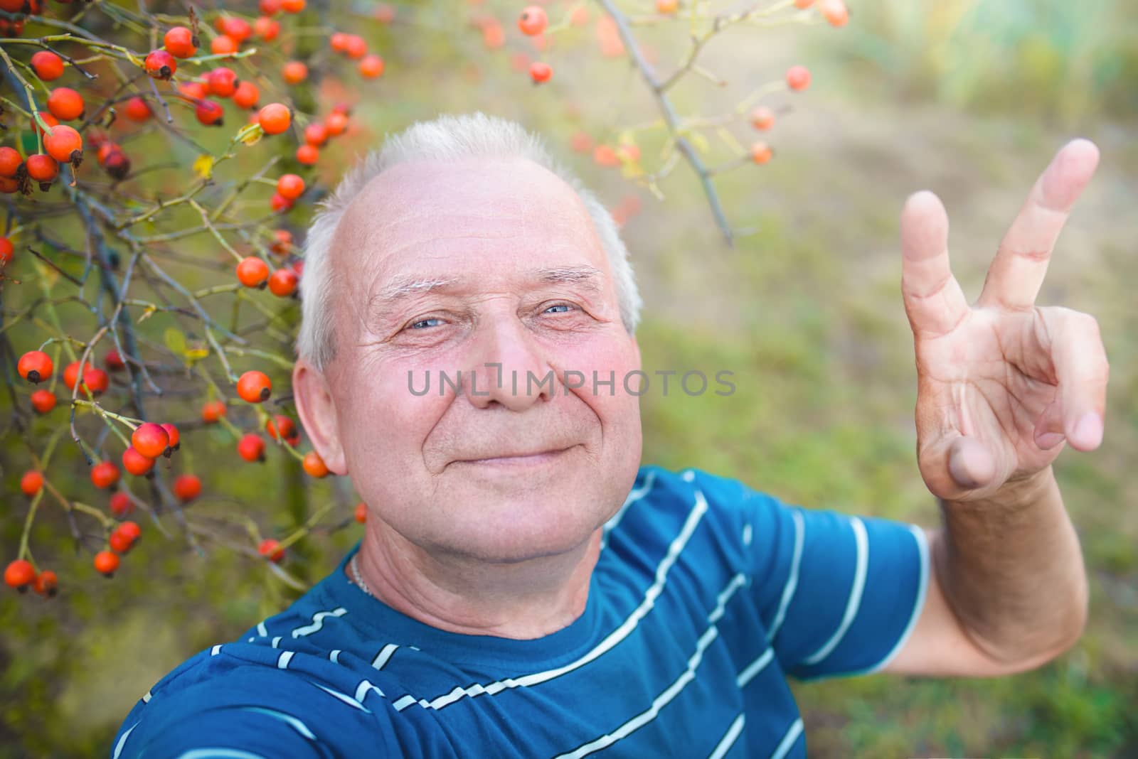 positive retired grandfather, makes selfie with a smartphone in the park. an elderly man walks in nature.