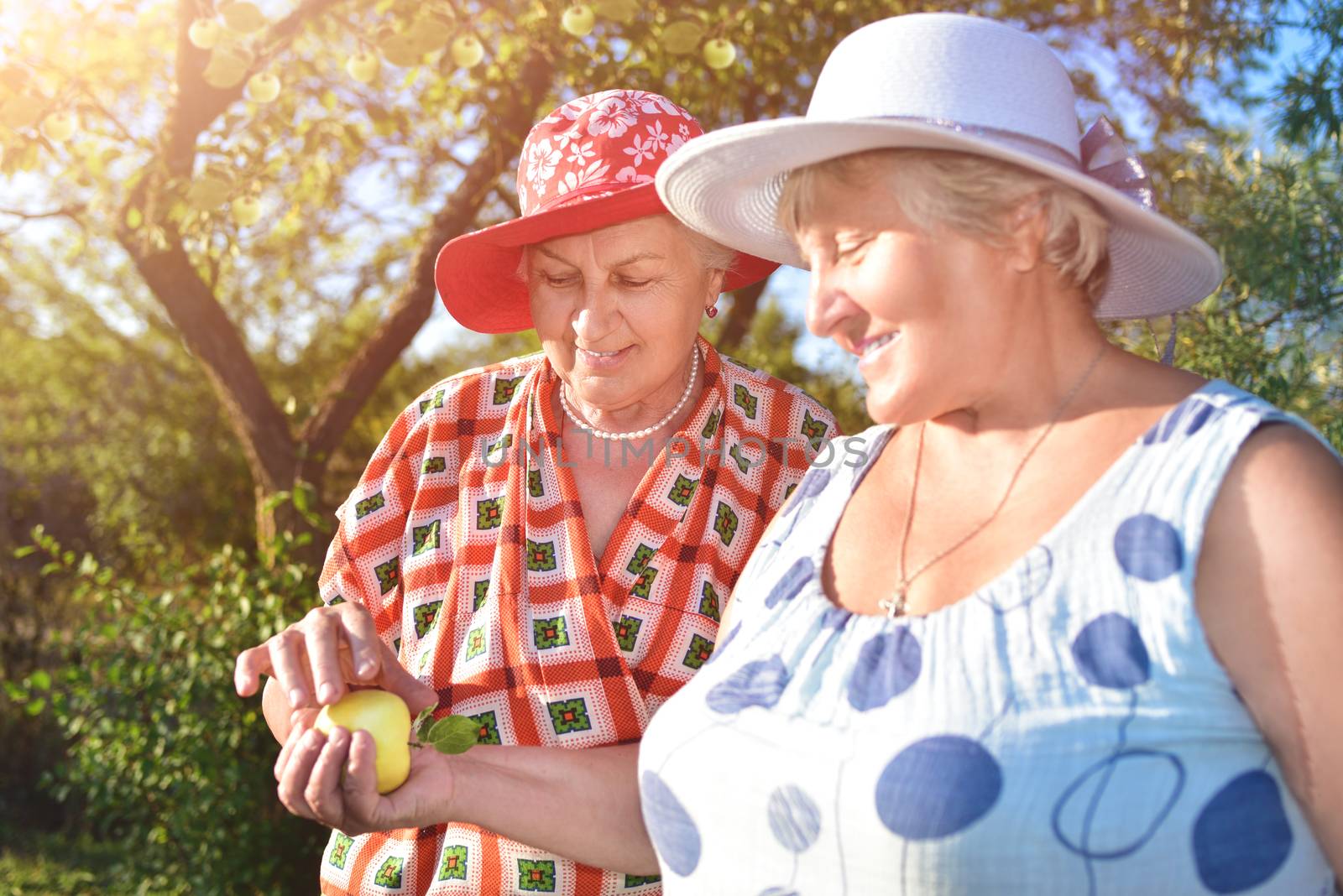 Walk in the garden. Two retired women best friends in hats walk happily in the garden. by Nickstock
