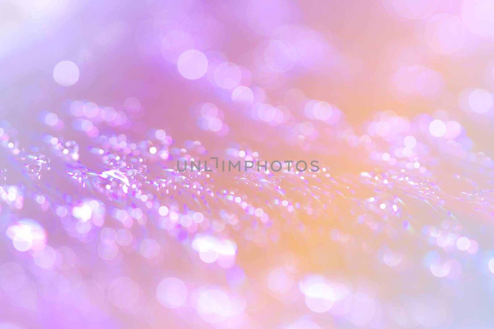 Abstract water drop bokeh on platter colorful fresh beautiful use as celebration festival concept background image.