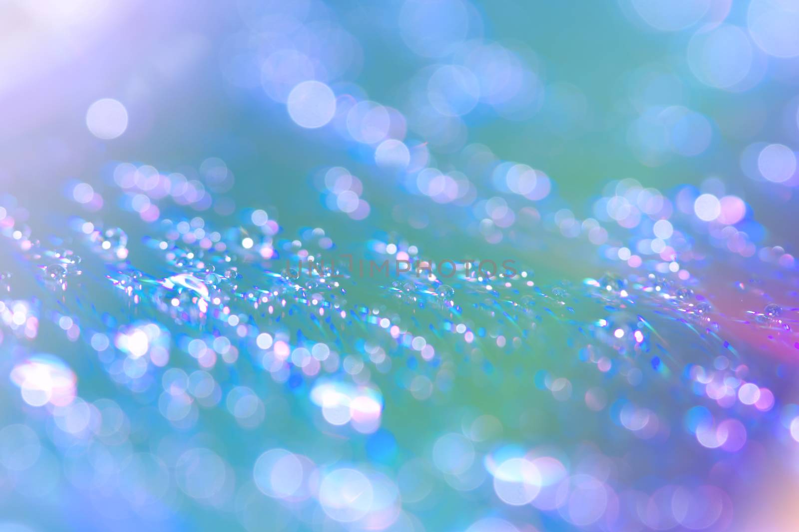 Abstract water drop bokeh on platter colorful fresh beautiful use as celebration festival concept background image.