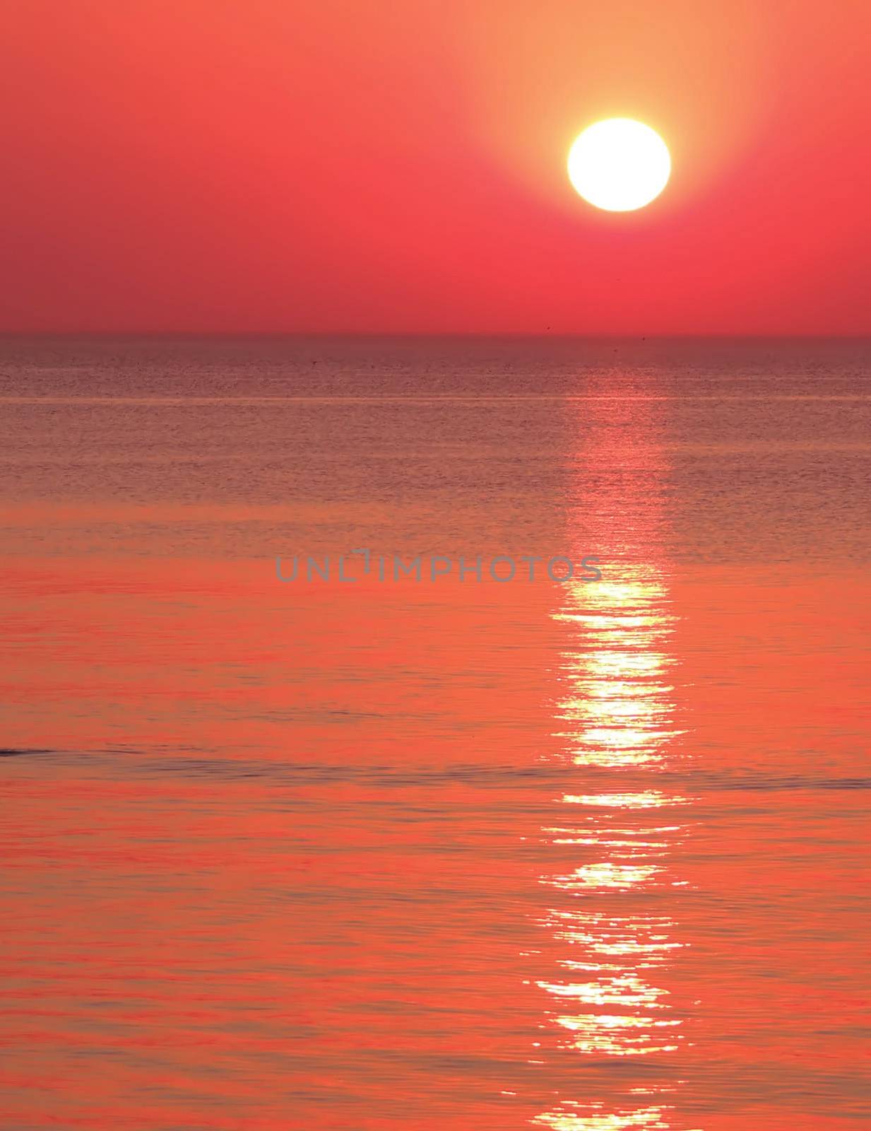Beautiful pictures of  Lithuania