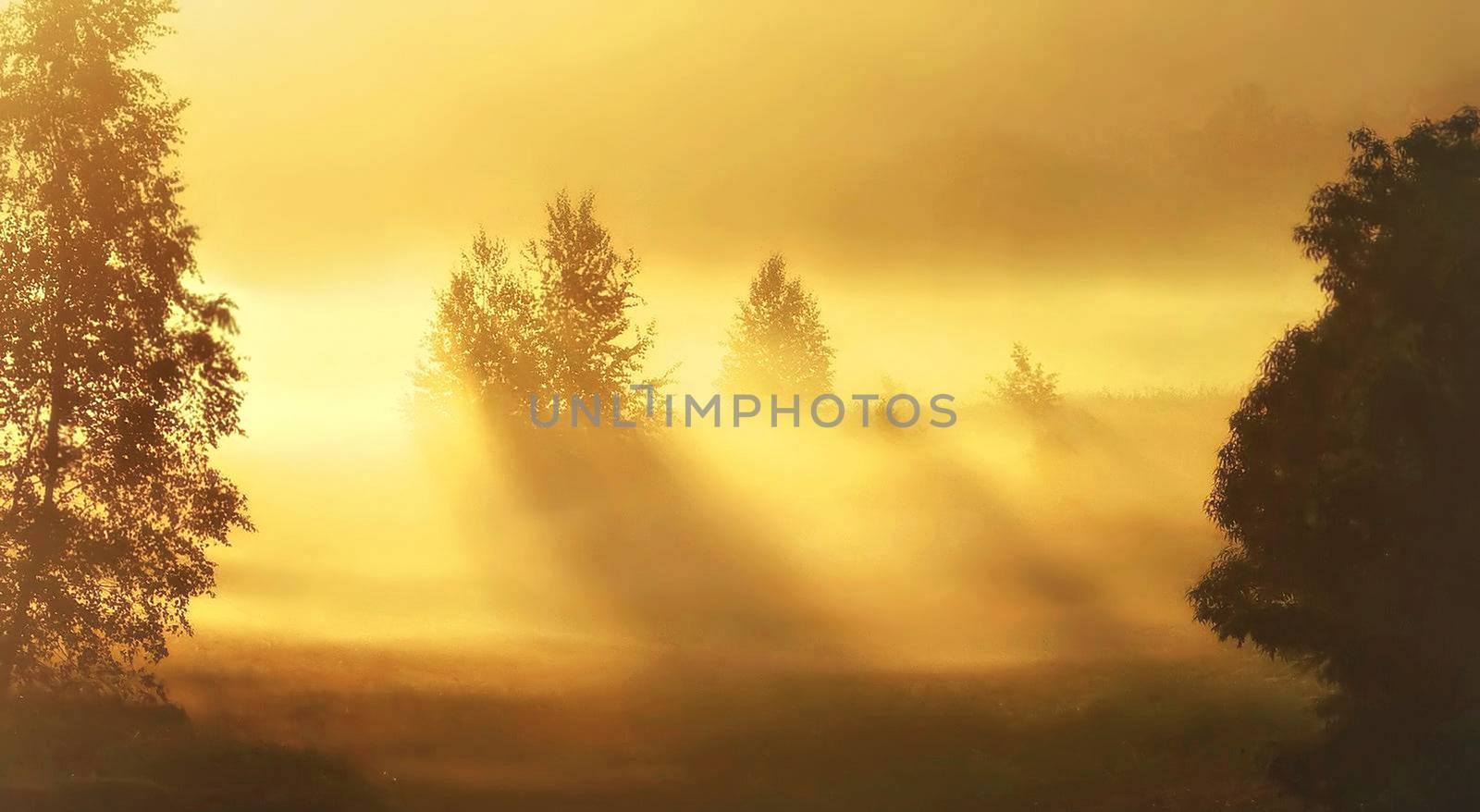 Beautiful pictures of  Lithuania