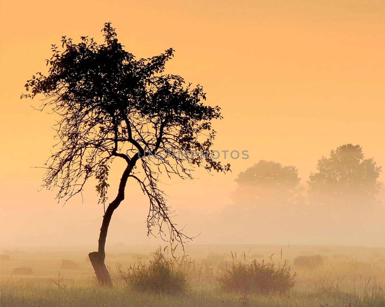 Beautiful pictures of  Lithuania