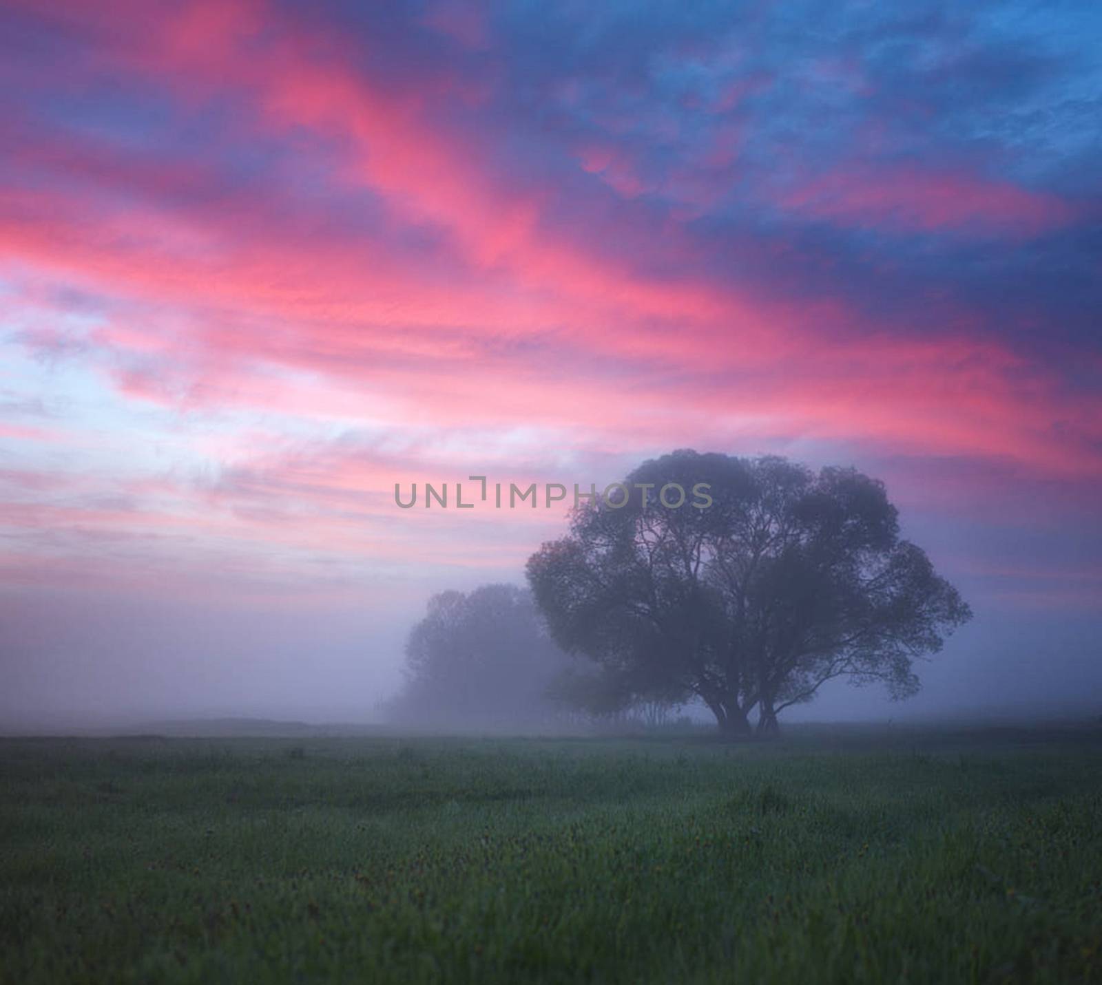 Beautiful pictures of  Lithuania