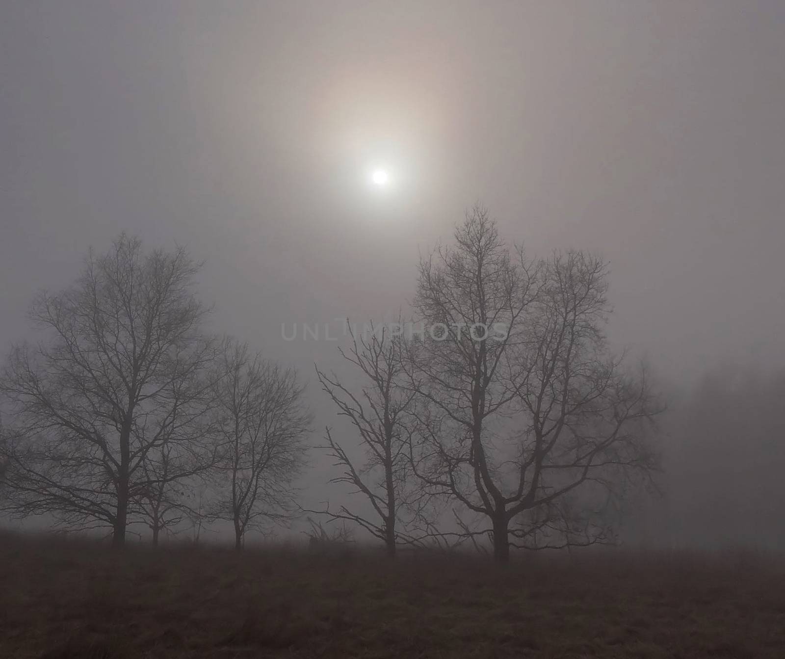 Beautiful pictures of  Lithuania