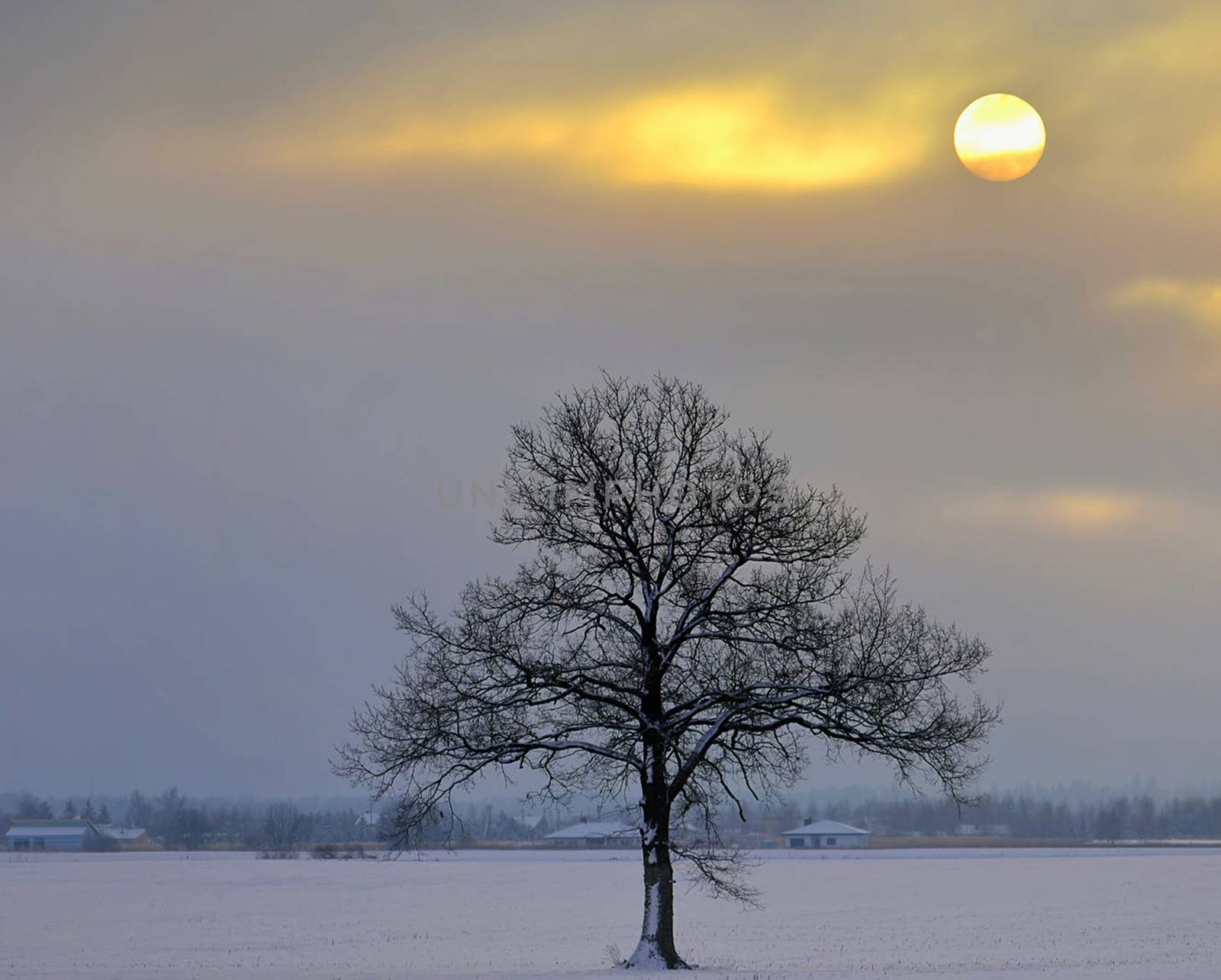 Beautiful pictures of  Lithuania