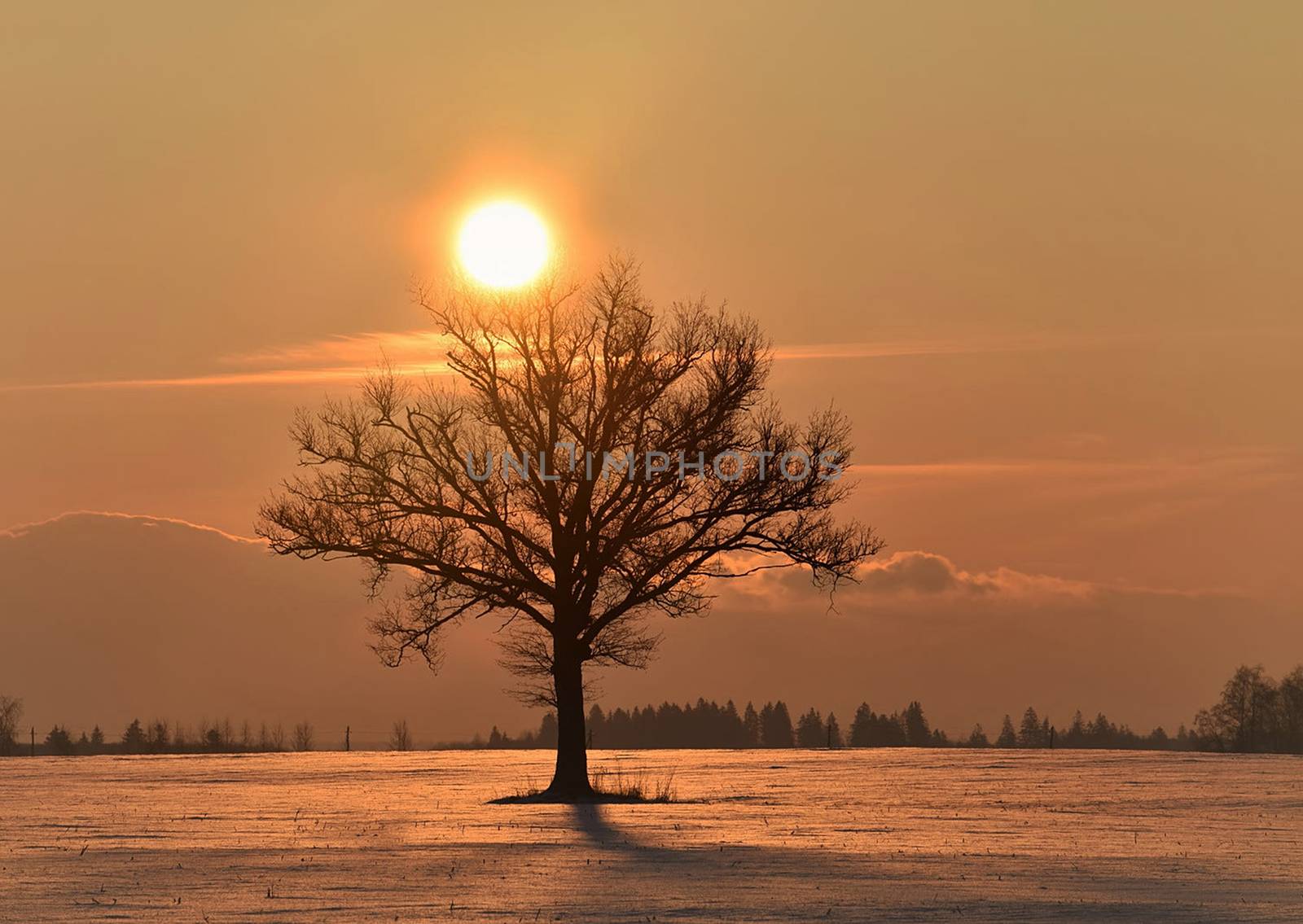 Beautiful pictures of  Lithuania