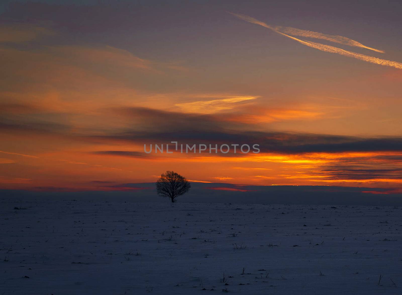 Beautiful pictures of  Lithuania