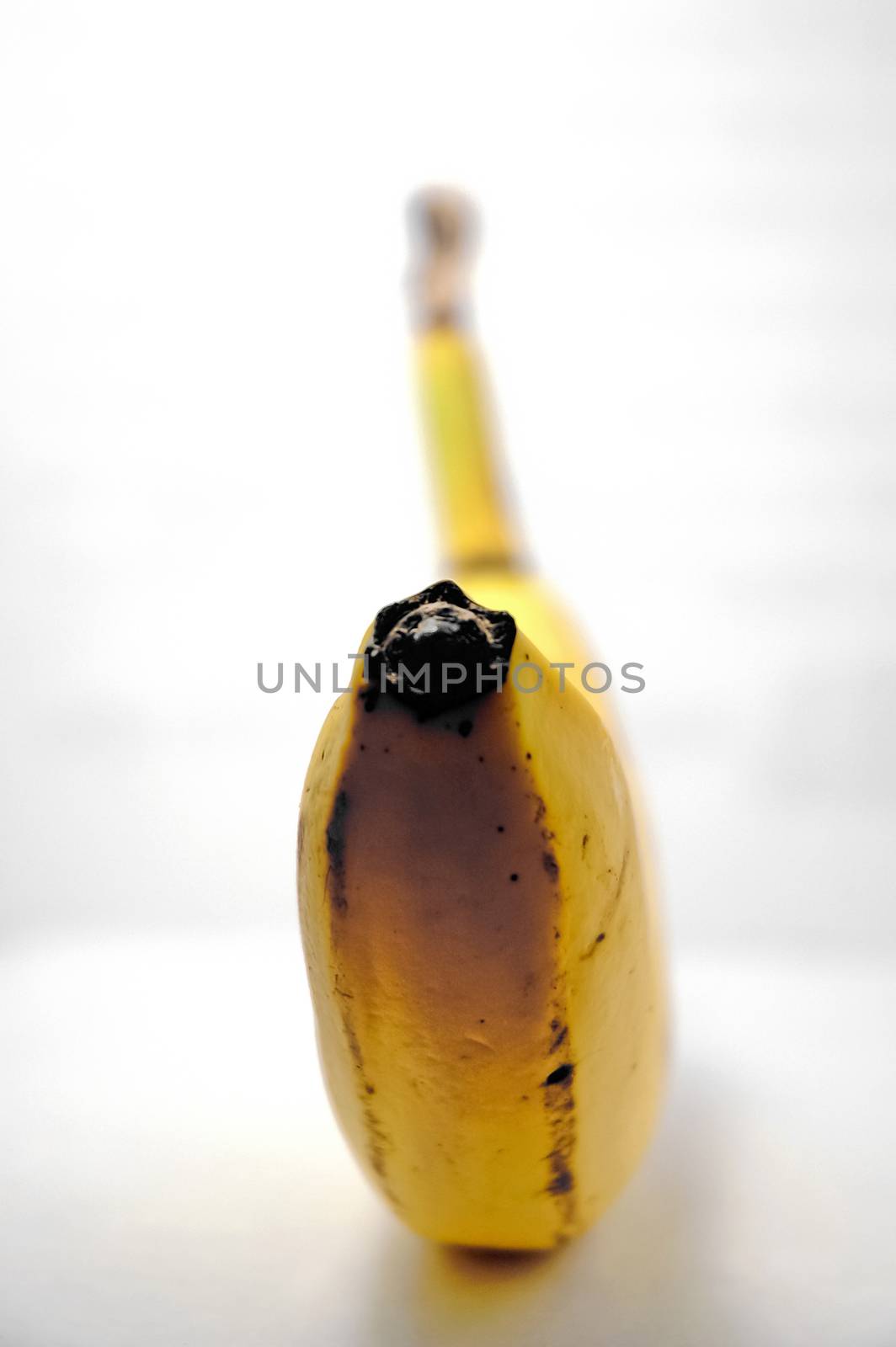 Yellow Cavendish banana isolated on white background by eyeofpaul