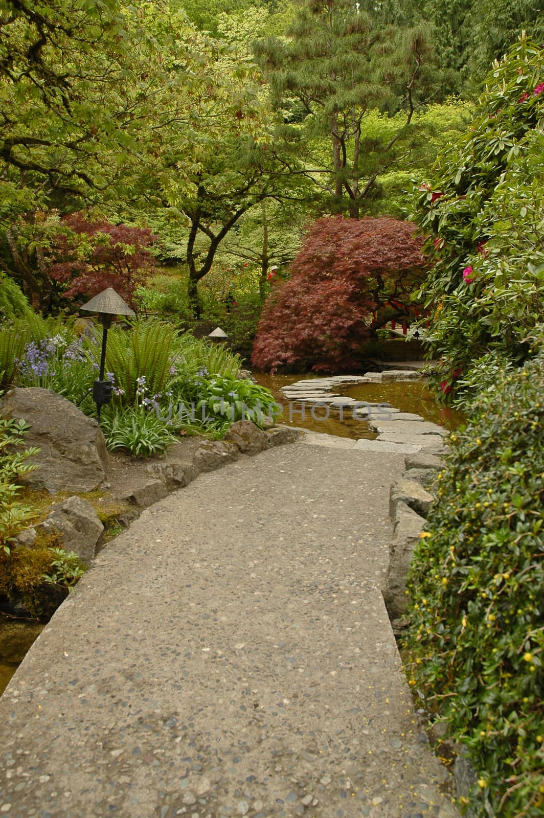 passage in Japanese garden by eyeofpaul