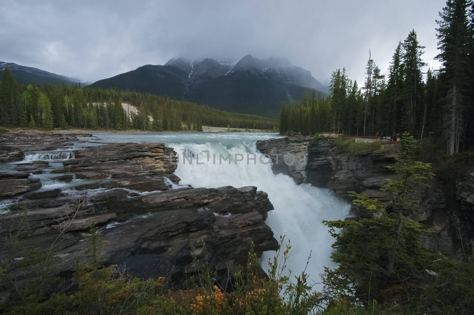 waterfall in a cloudy forest