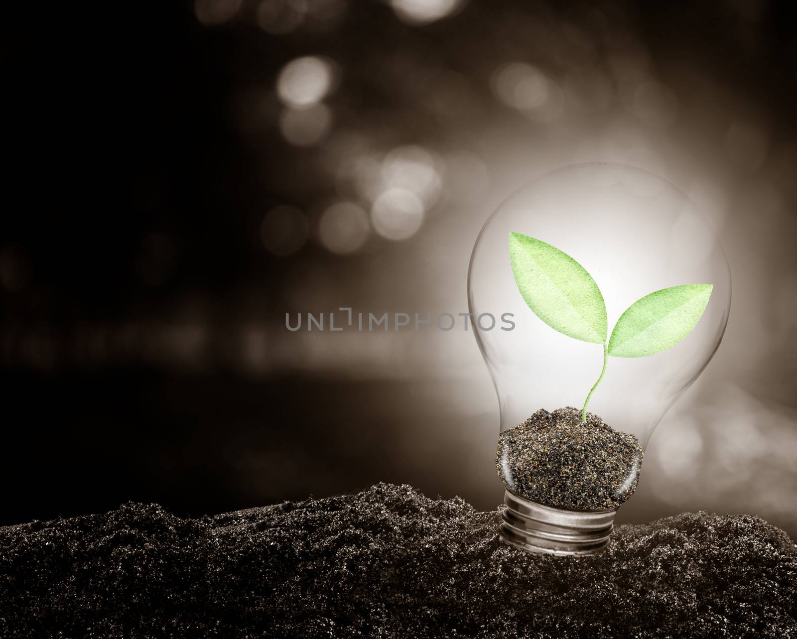 Light bulb with plant growing inside on soil ecology, Concept of conserve environment.