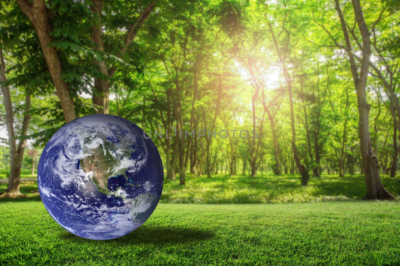 Planet earth beautiful on green grass with nature blur bokeh background, world with conservation and resource for renewable, environment concept, Elements of this image furnished by NASA.