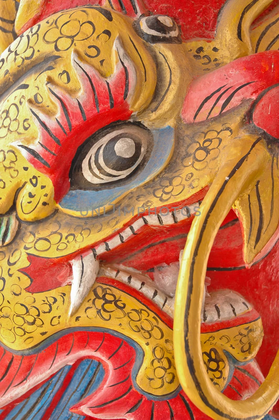 close-up face of Chinese dragon by eyeofpaul