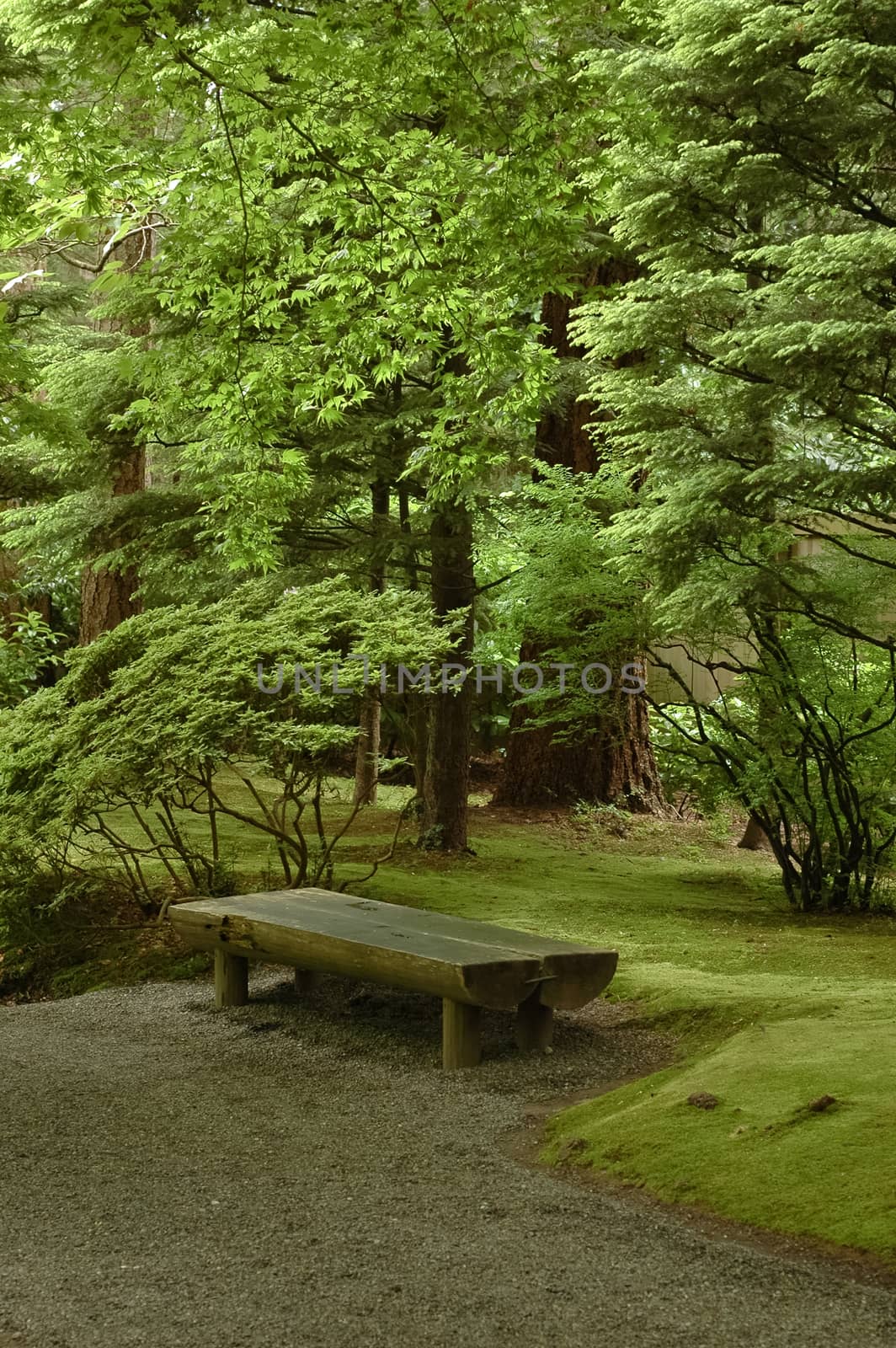 bench in relax garden by eyeofpaul