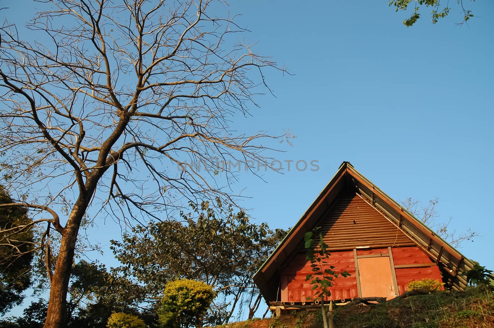 Small wooden red boutique cottage on the hill in Northern Thaila by eyeofpaul