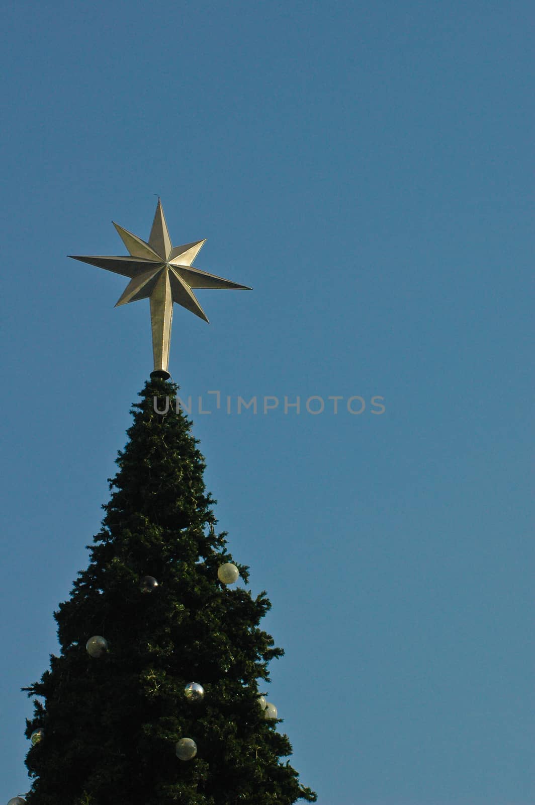 Christmas tree and the star