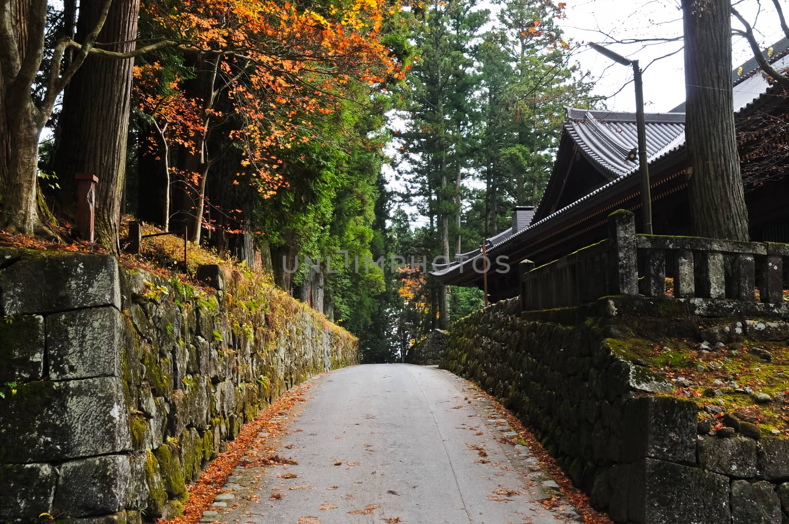 Romantic passage next to an old temple in Japanese Autumn by eyeofpaul