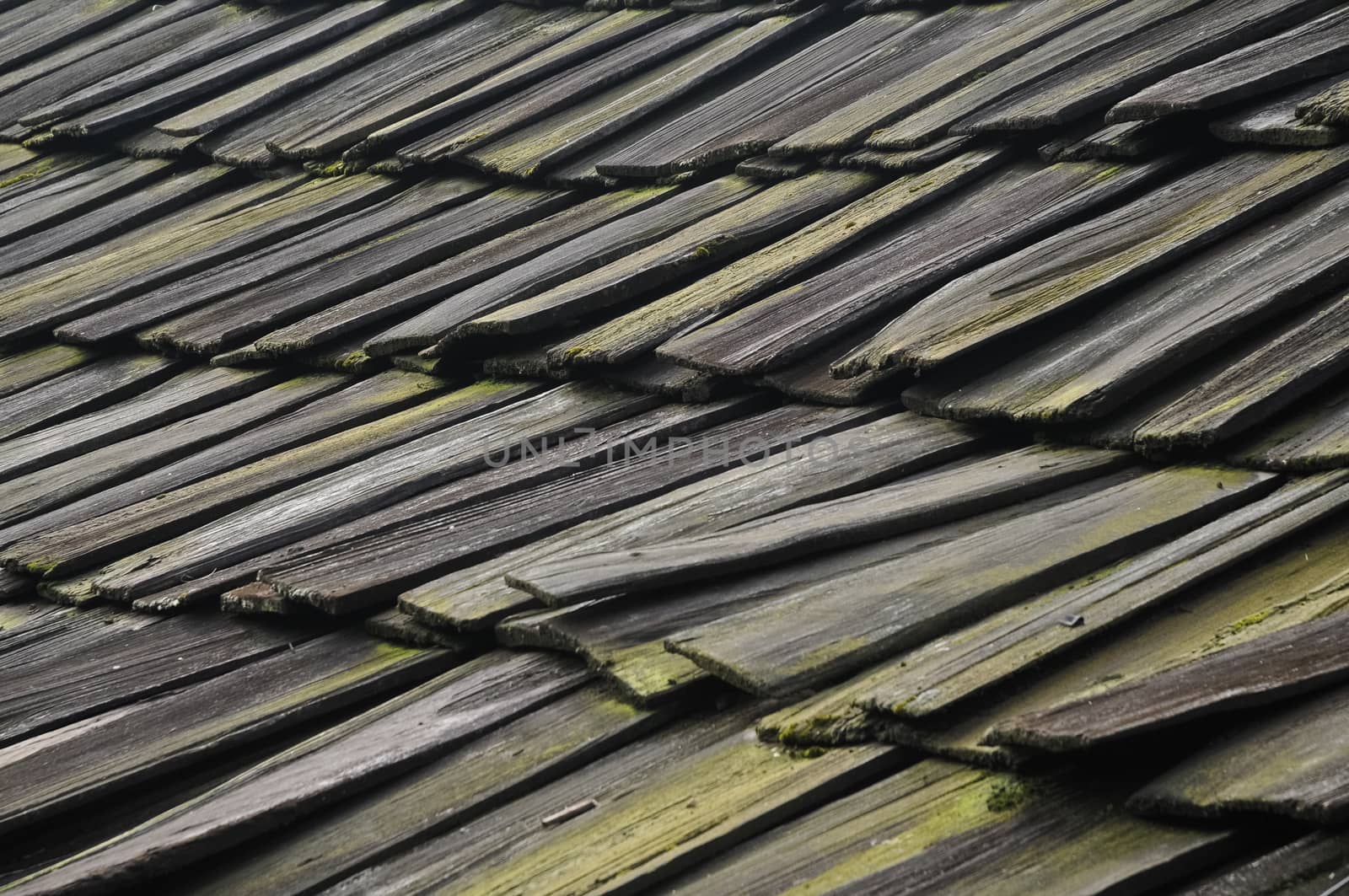 Repeated wooden tiles with moss and lichen in Asia