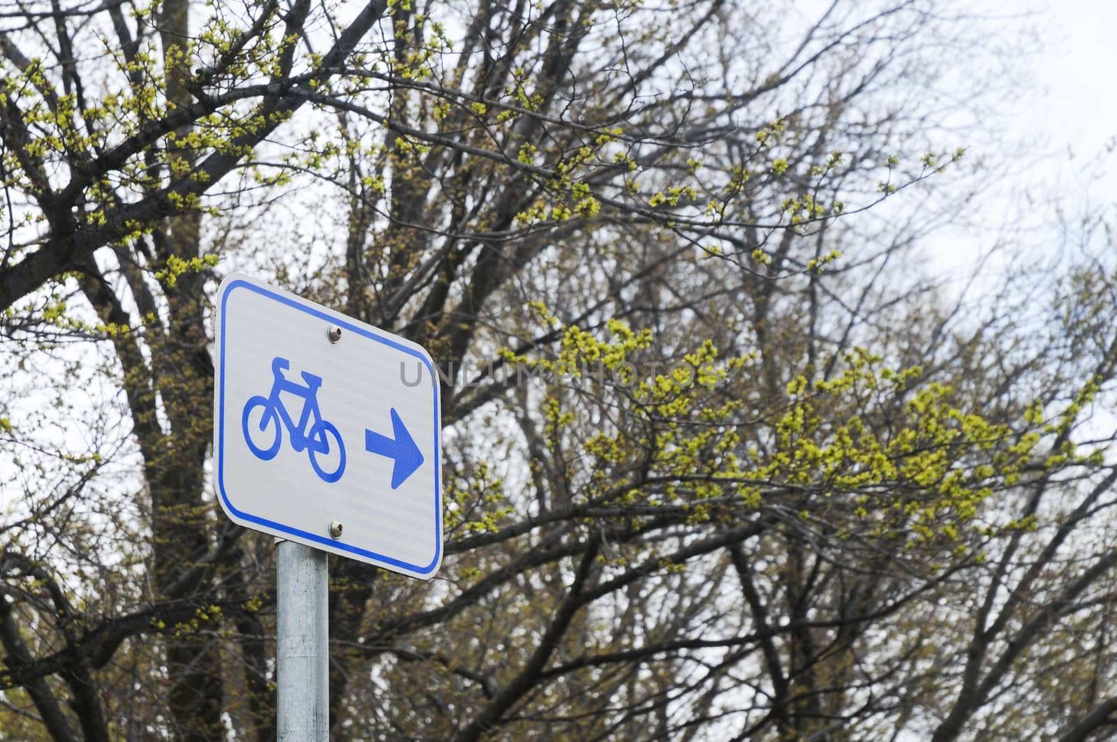 Bicycle signpost in a forest by eyeofpaul