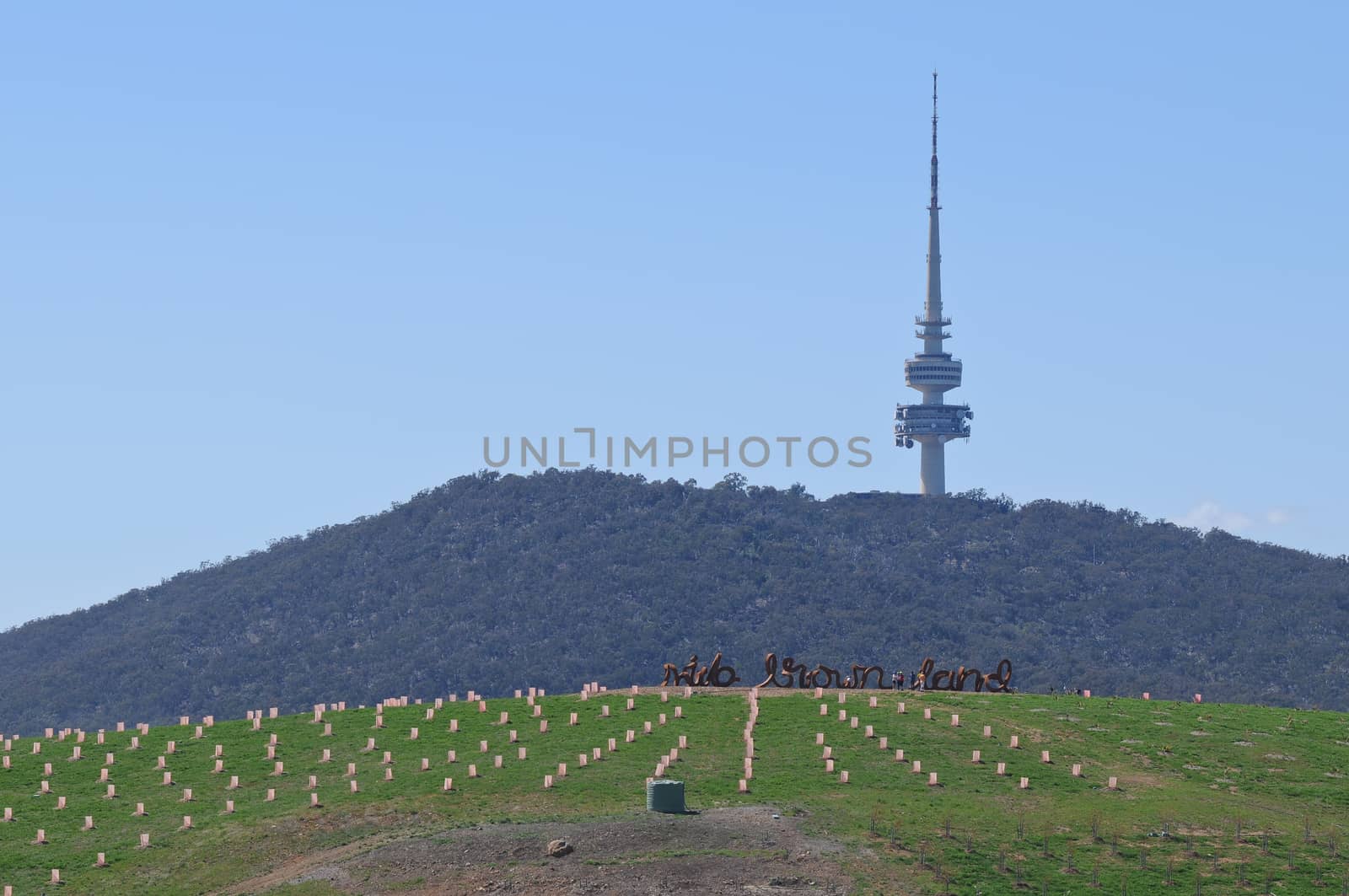 high rise communication tower up in the greeny hill in Canberra by eyeofpaul