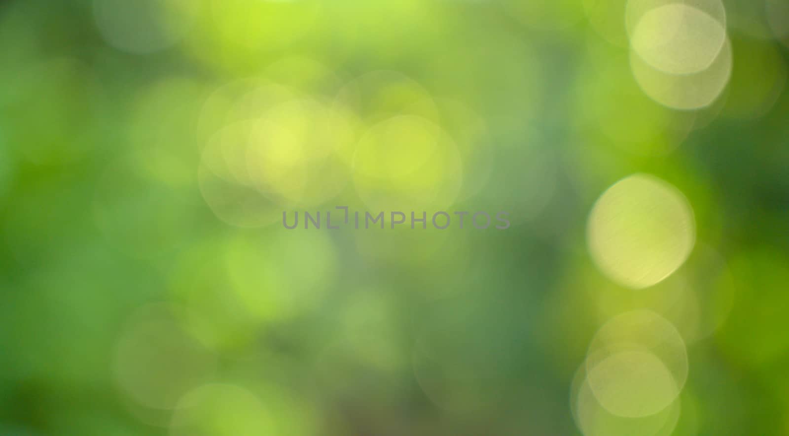 Bokeh blur green background by sarayut_thaneerat