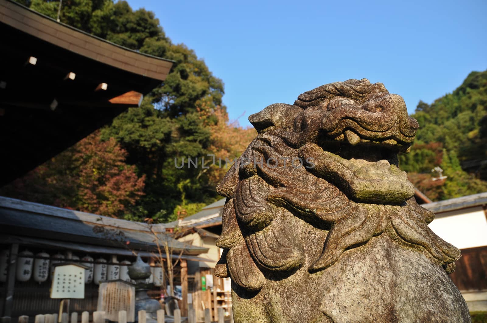 Japanese stone lion statue in old temple, Kyoto, Japan