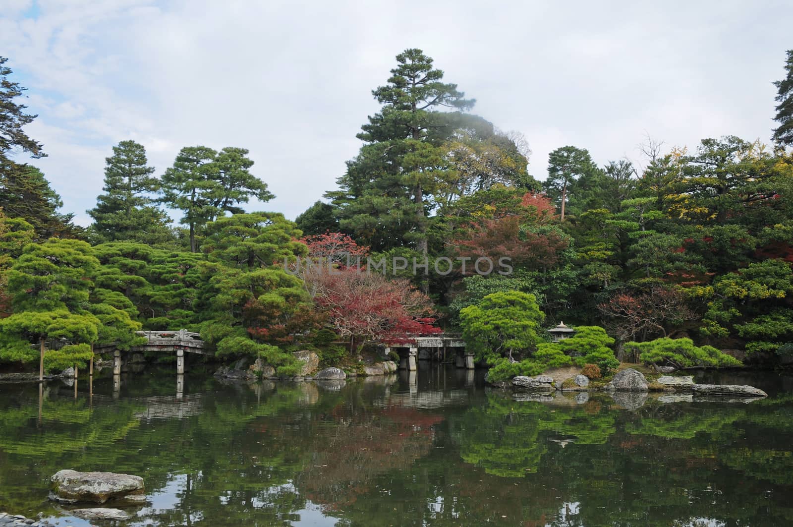 Peaceful Japanese zen garden and pond in Autumn by eyeofpaul