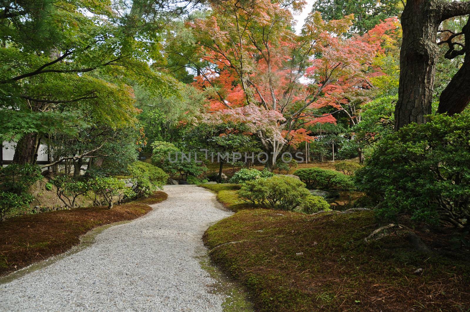 Zen peaceful passage in Japanese garden in Autumn by eyeofpaul