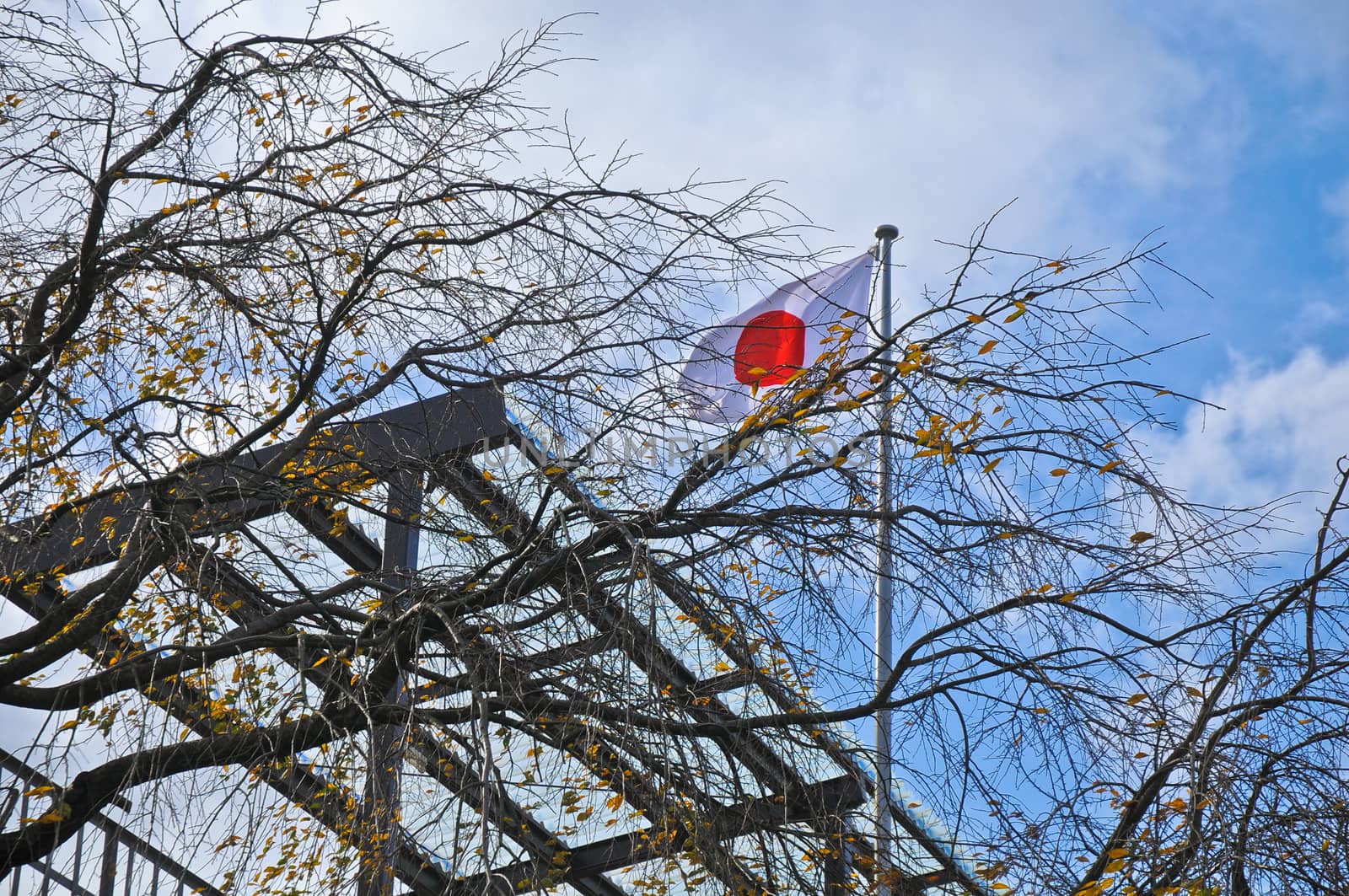 Japan flag flying in Autumn blue sky Japan by eyeofpaul