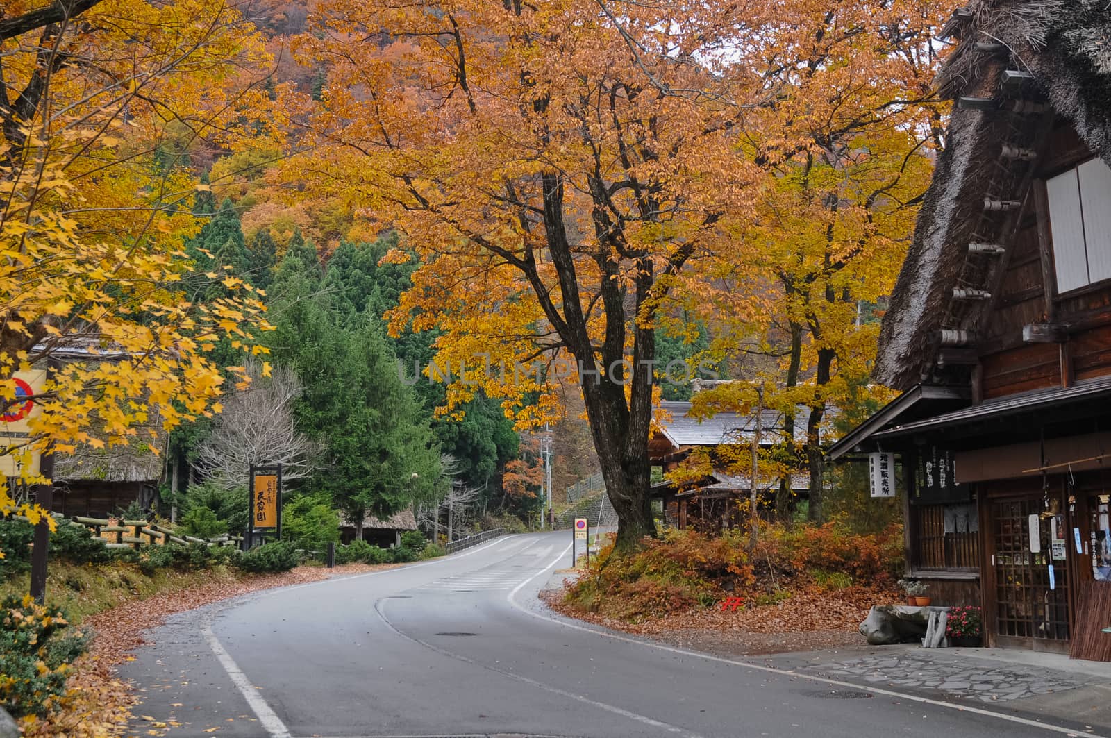 Shirakawago heritage cottage in magical Autumn Takayama Japan