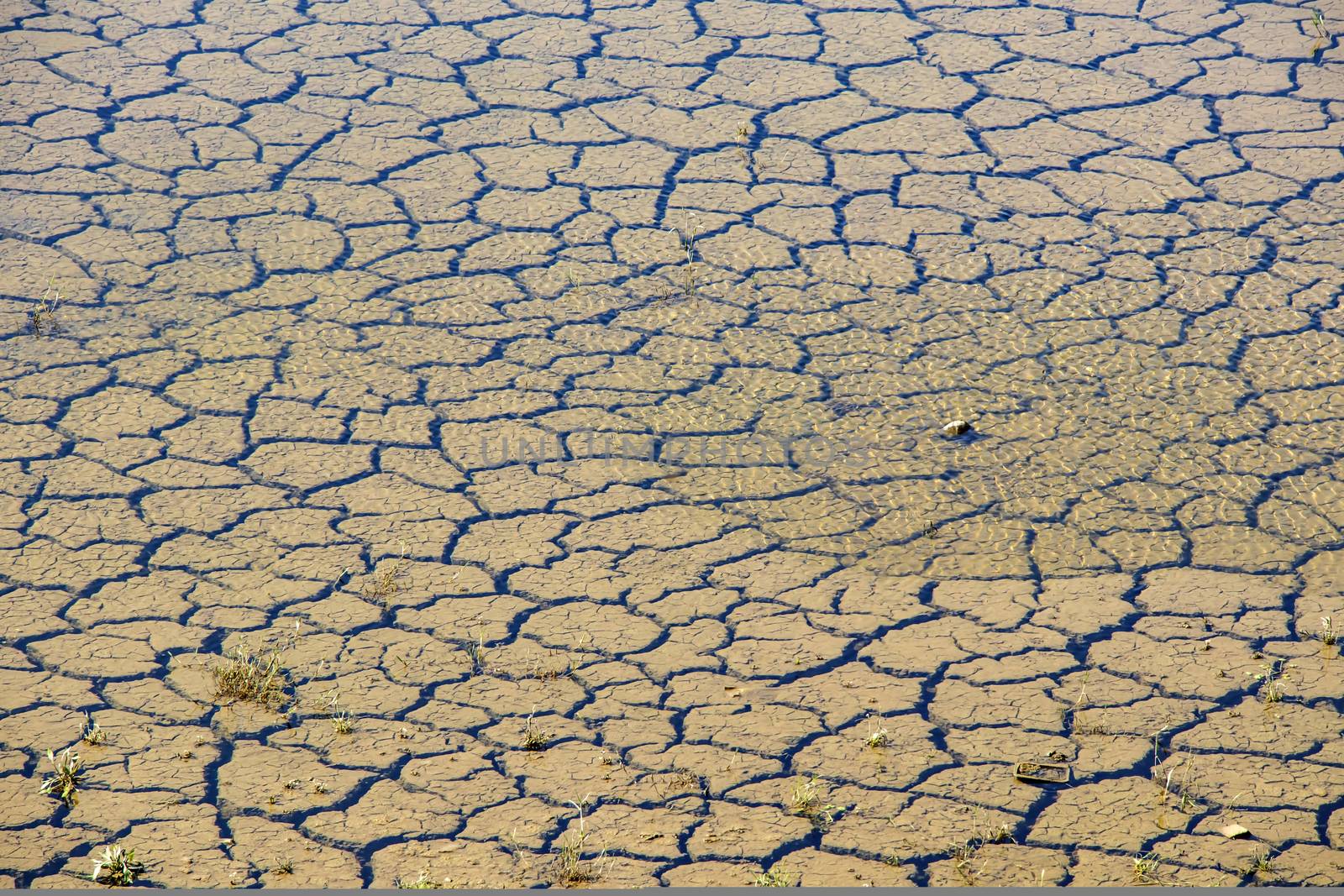 global warming and drought in nature