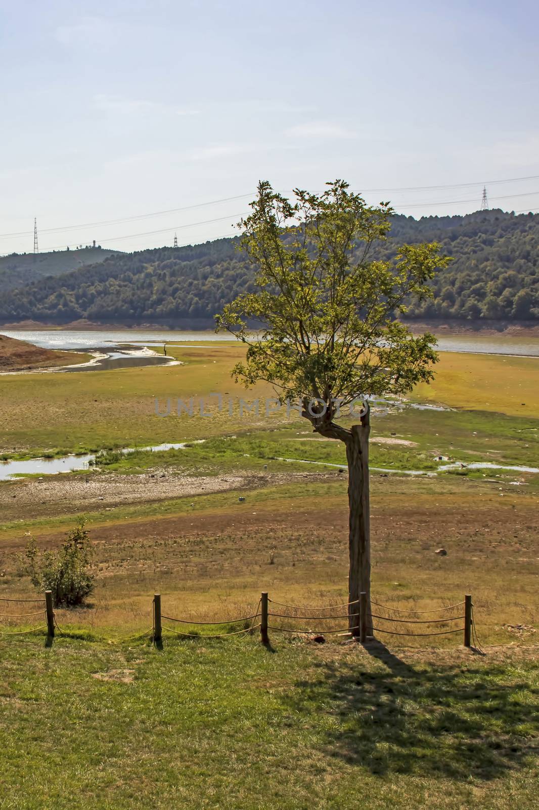 global warming and drought in nature