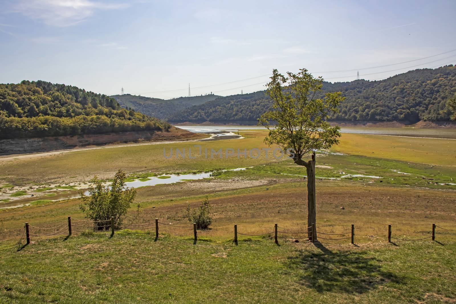 global warming and drought in nature