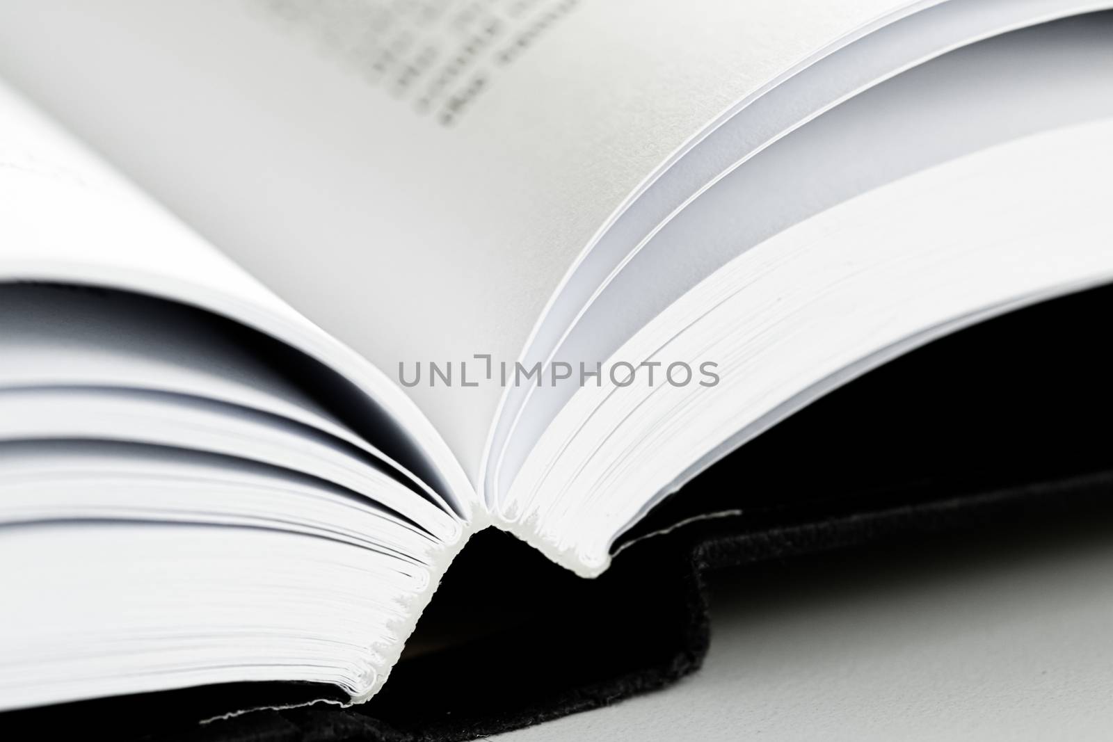 Macro closeup of an open book, education and study by Anneleven