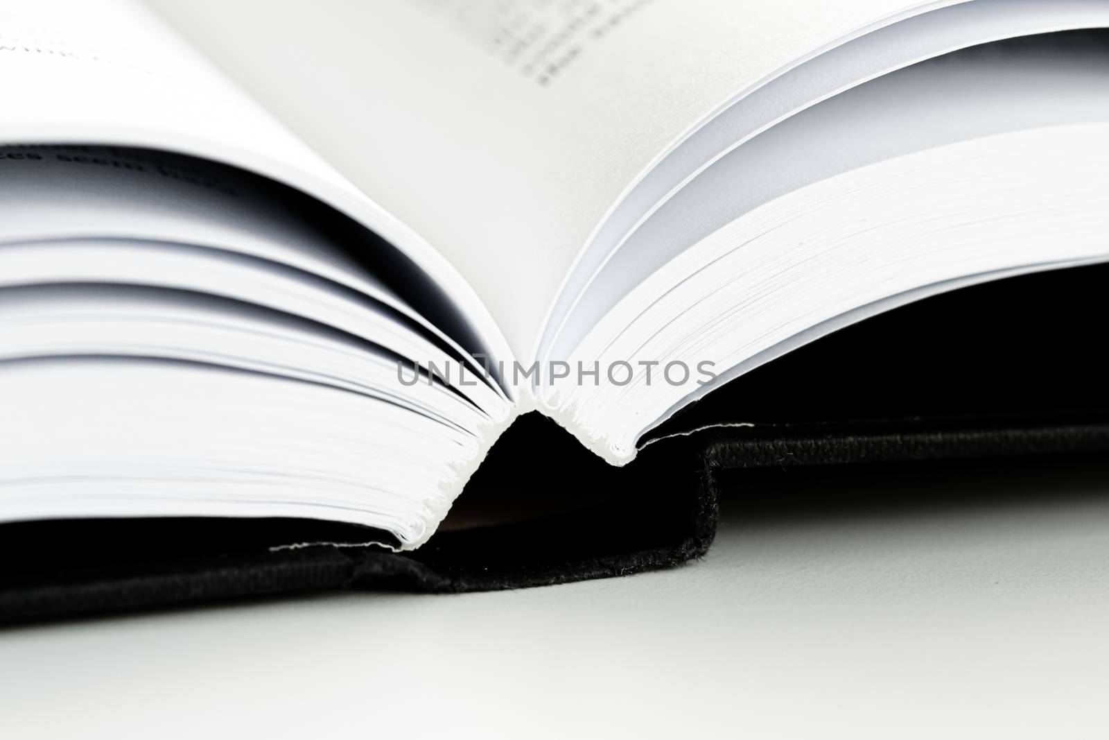 Macro closeup of an open book, education and study by Anneleven