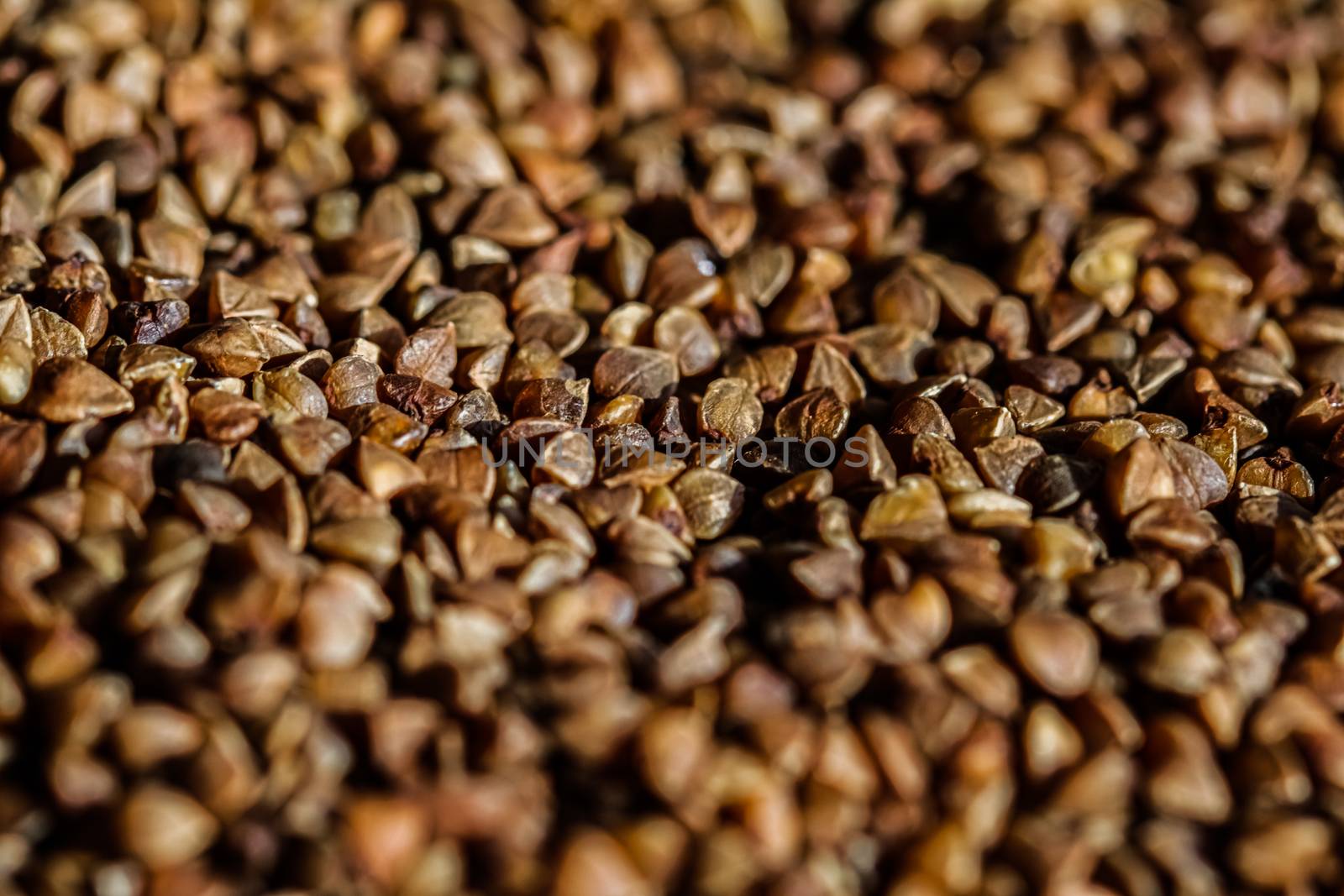 Buckwheat grain closeup, food texture and cook book backgrounds