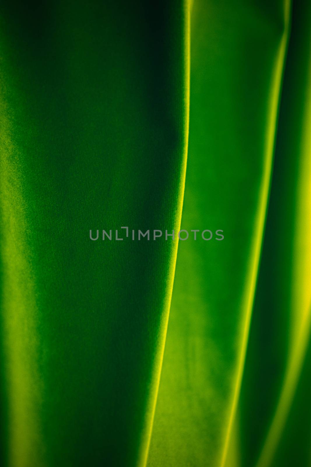 Decoration, branding and surface concept - Abstract green fabric background, velvet textile material for blinds or curtains, fashion texture and home decor backdrop for luxury interior design brand