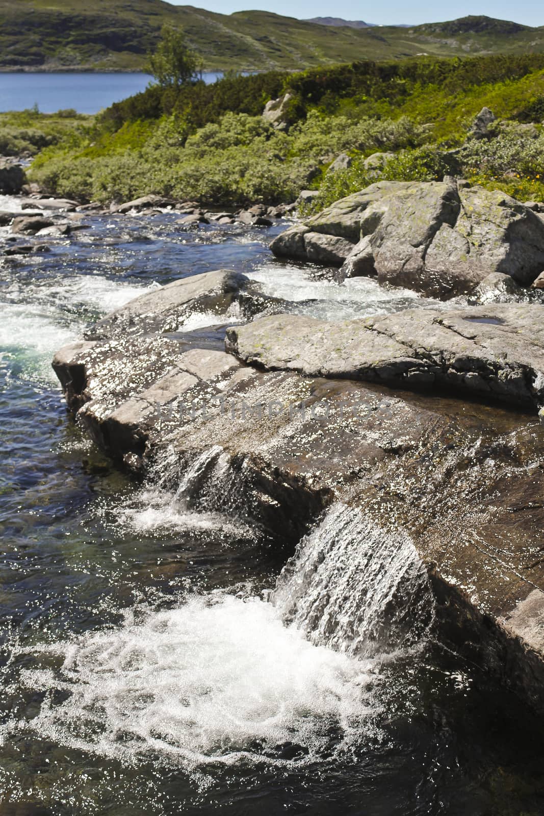 Storebottåne river flows into the vavatn lake in Hemsedal, Norway. by Arkadij