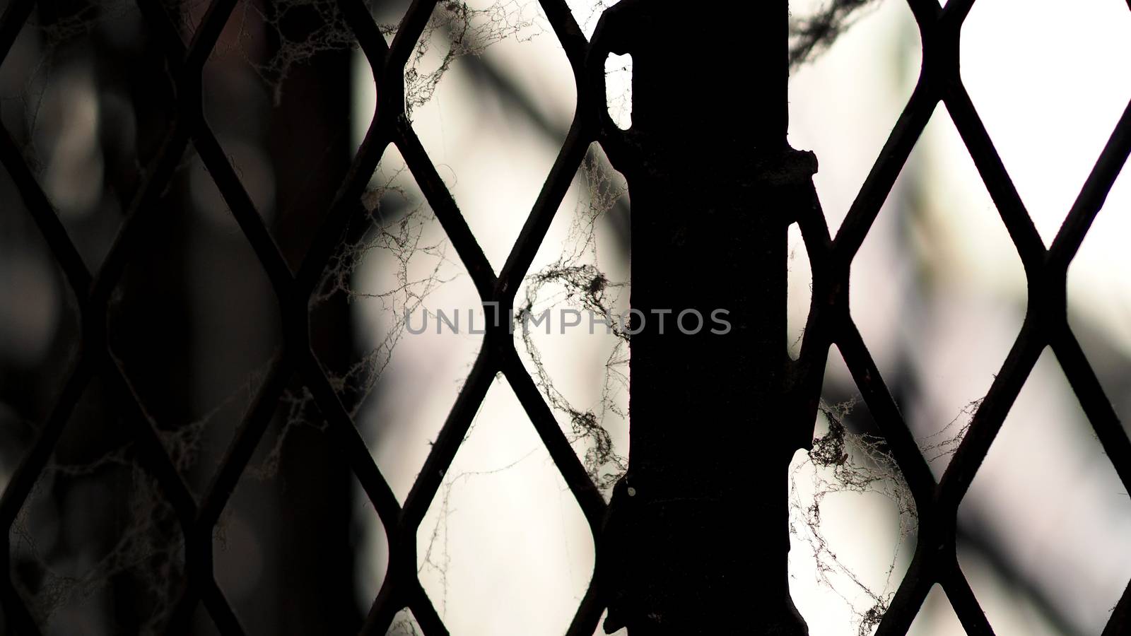 White cobweb on the old and dirty steel metal fence close-up angle.  