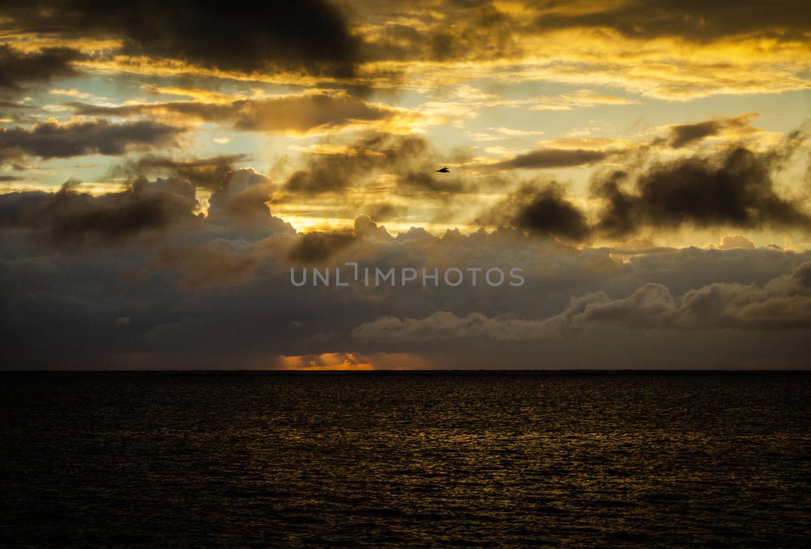 Beautiful pictures of  Belize