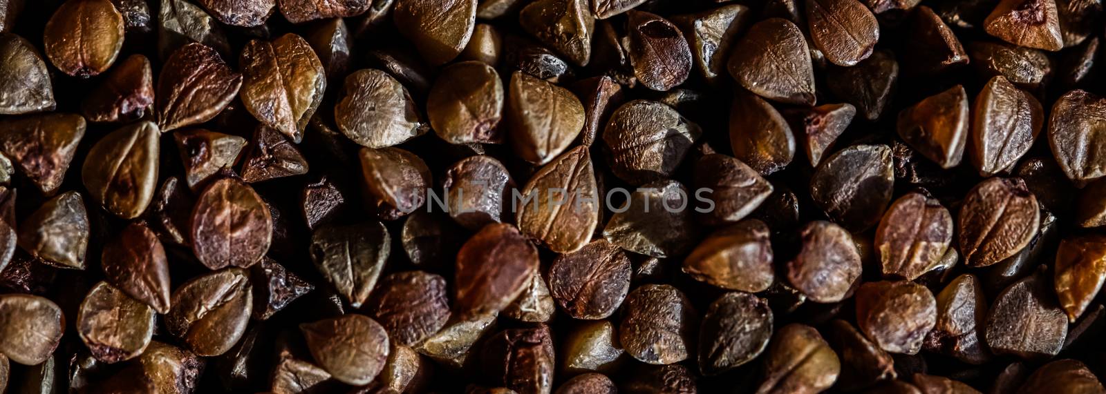 Buckwheat grain closeup, food texture and cook book background by Anneleven